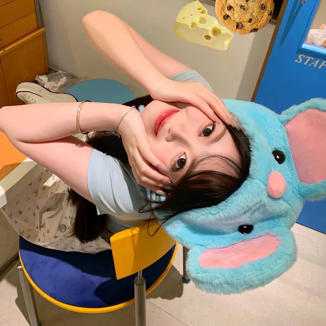 豹